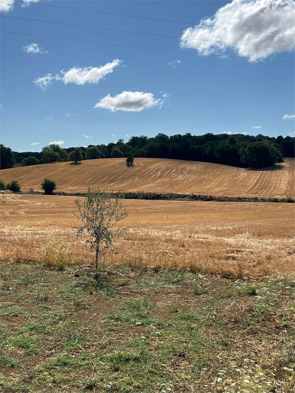 Perugia Vendesi Terreno