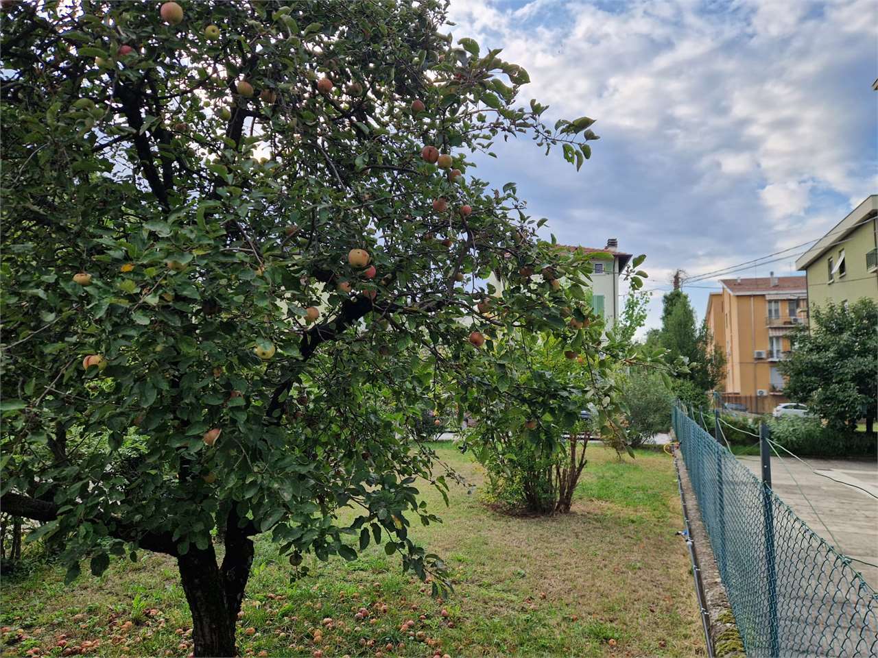 immagine annuncio 6 di 15