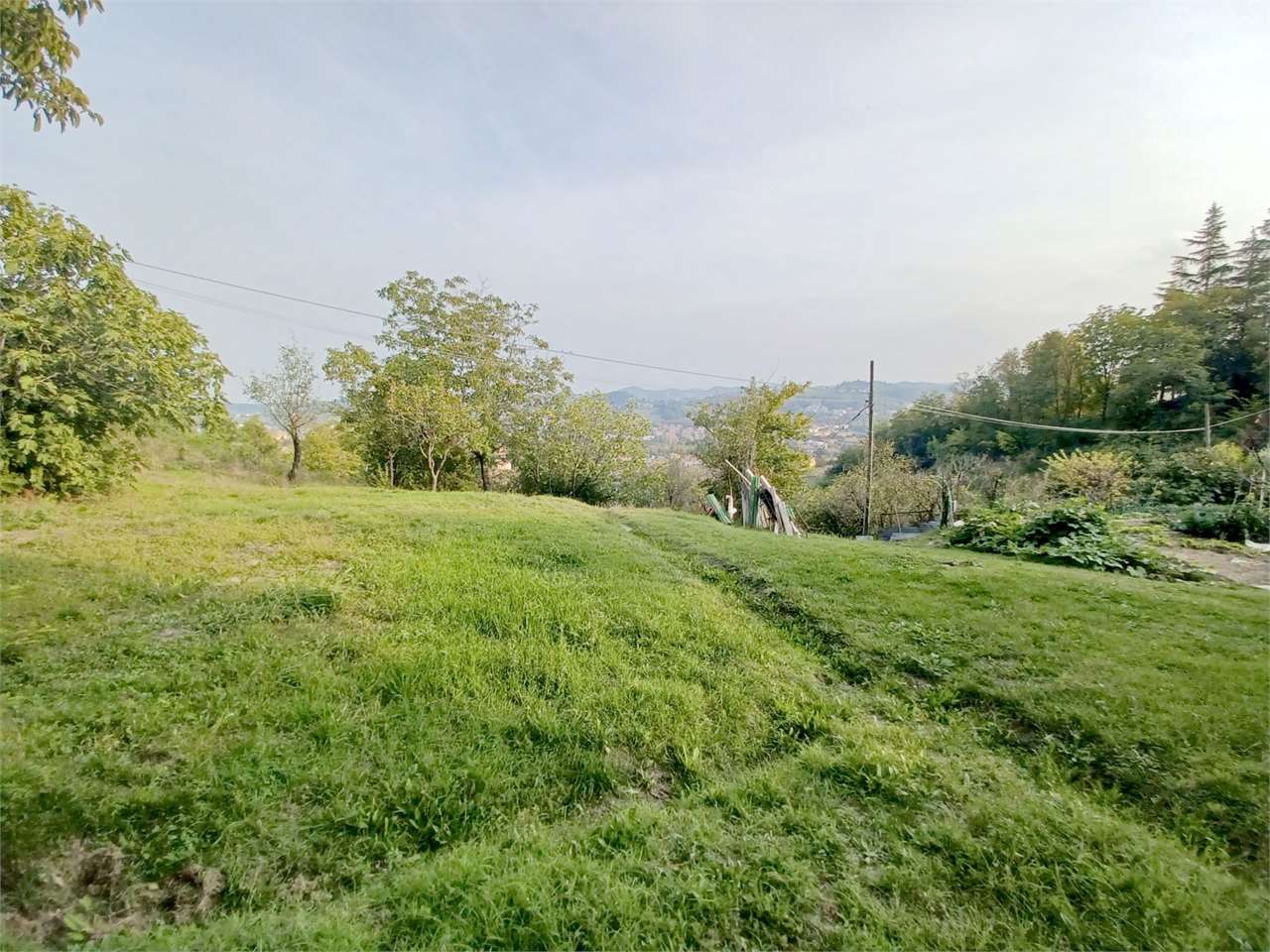 immagine annuncio 3 di 9