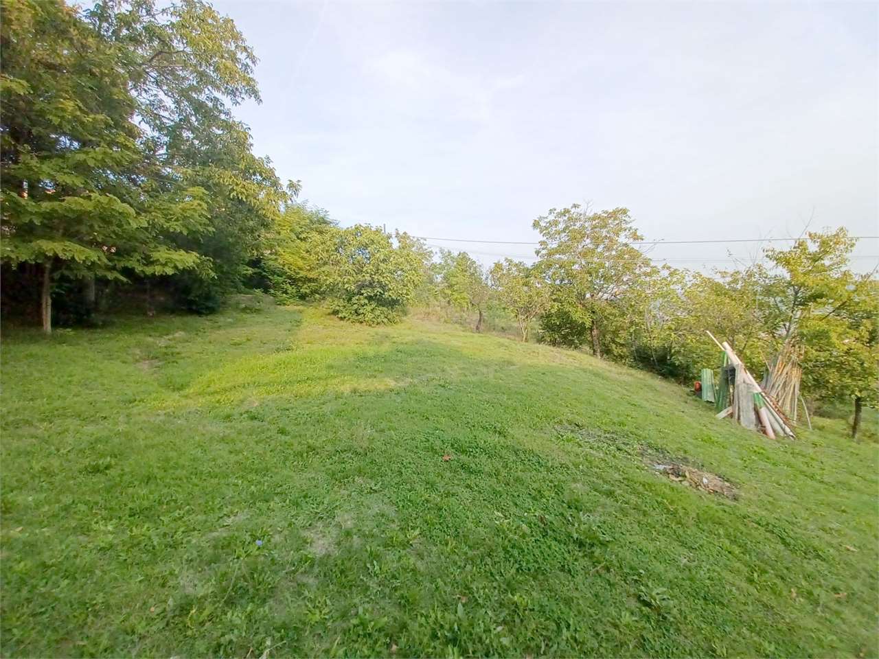 immagine annuncio 5 di 9