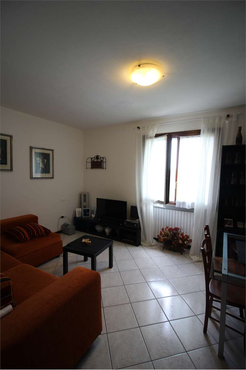 immagine annuncio 6 di 12