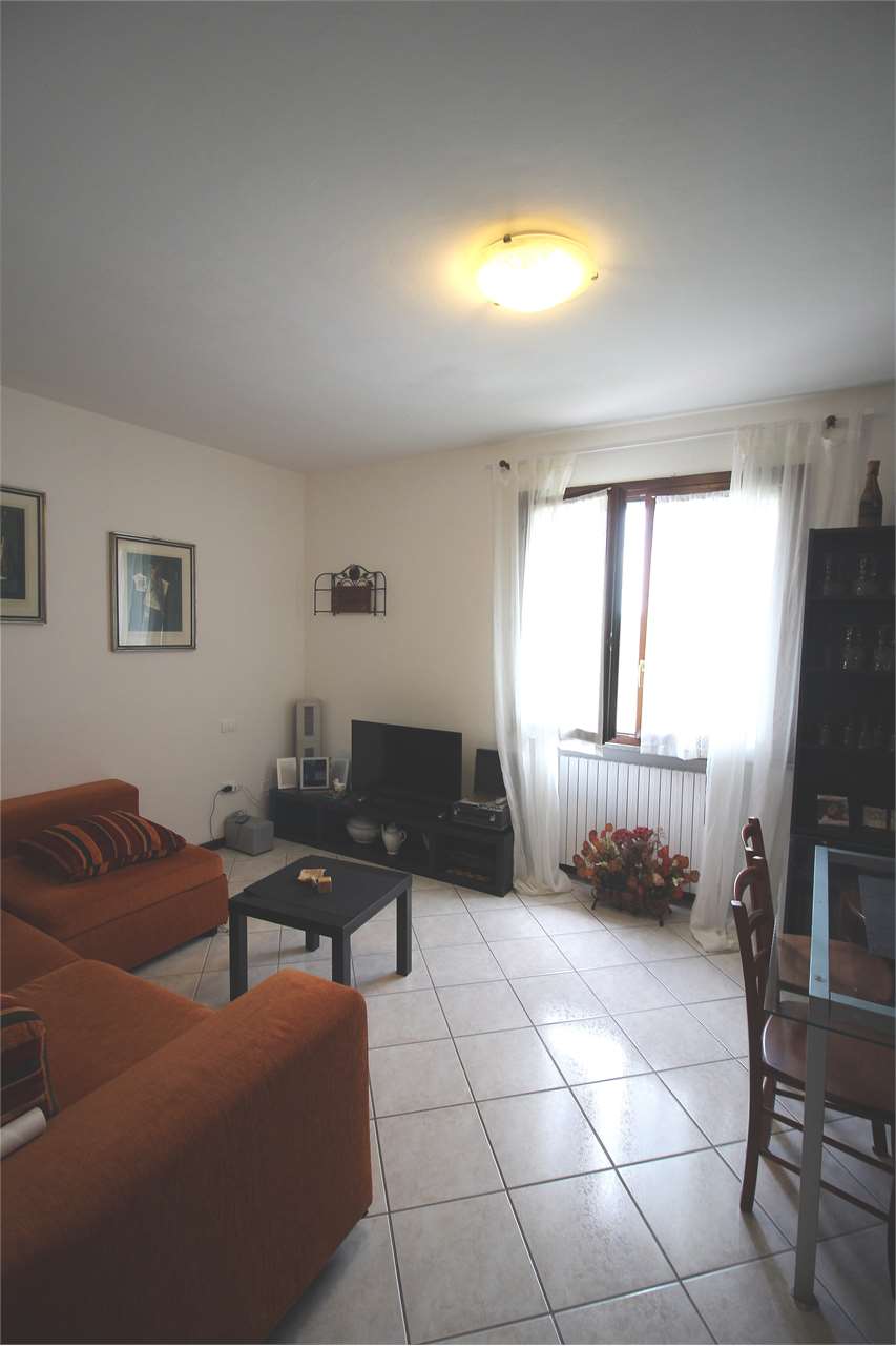 immagine annuncio 5 di 12