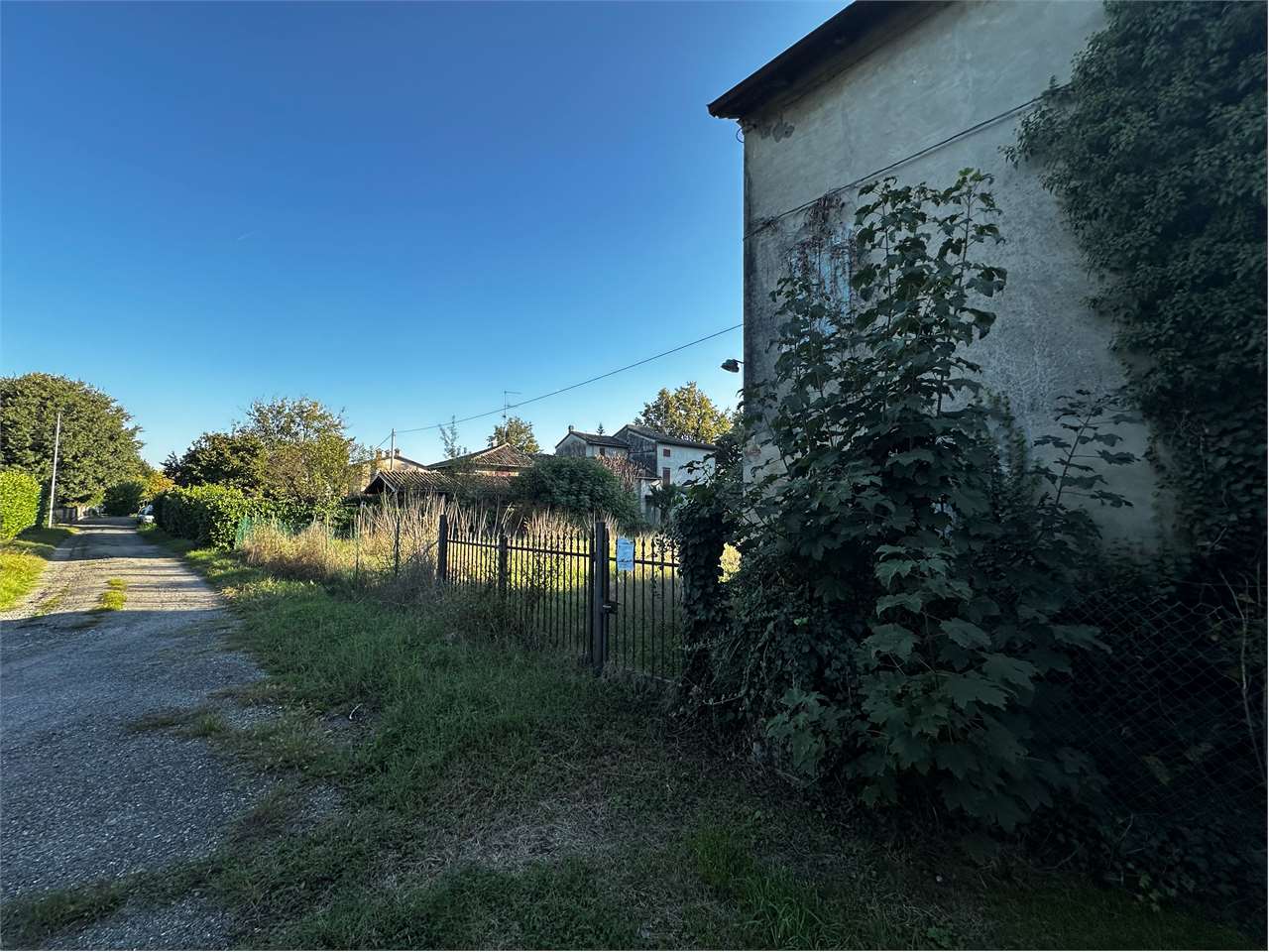 immagine annuncio 12 di 13