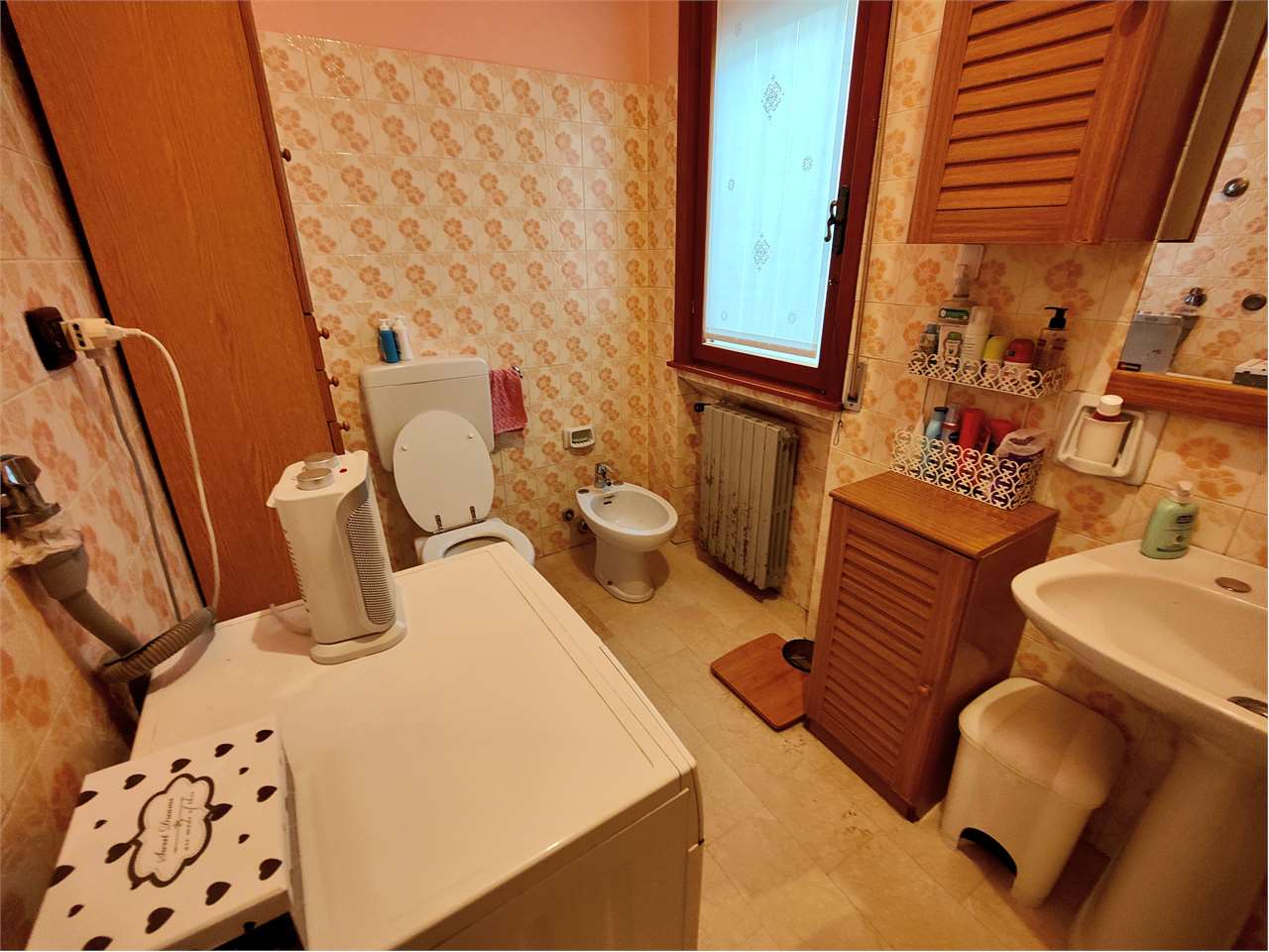 immagine annuncio 7 di 14