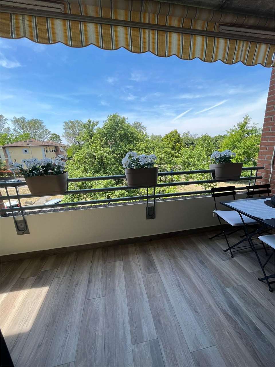 immagine annuncio 6 di 15