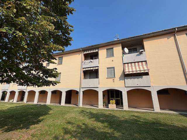 immagine annuncio 1 di 11