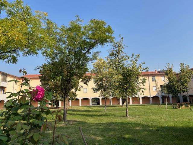 immagine annuncio 2 di 11