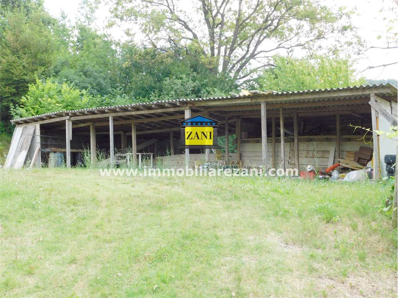 immagine annuncio 2 di 12