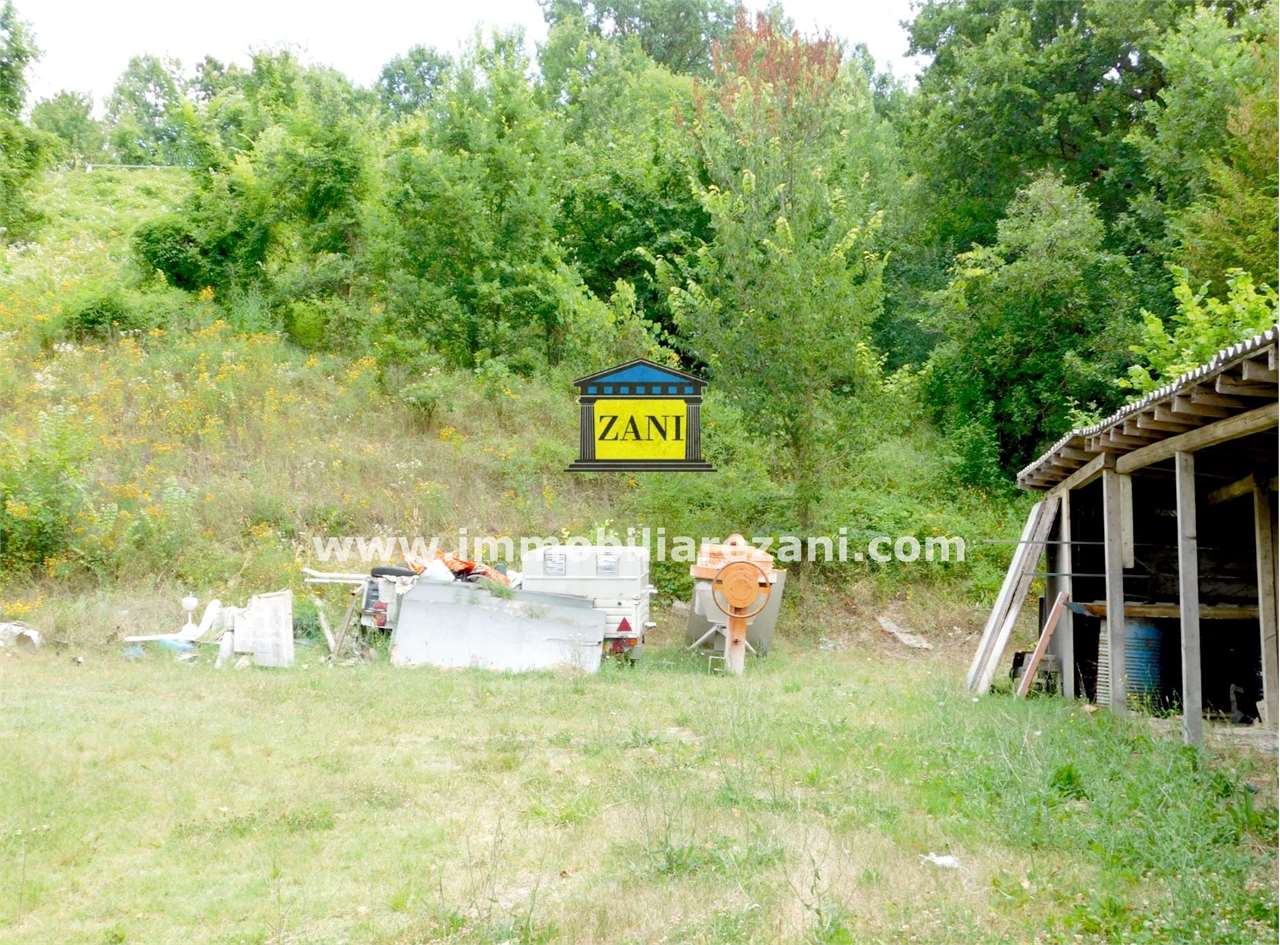 immagine annuncio 4 di 12