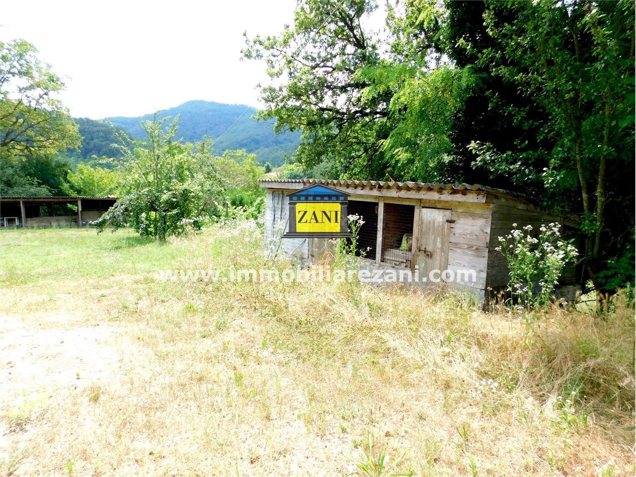 immagine annuncio 10 di 12