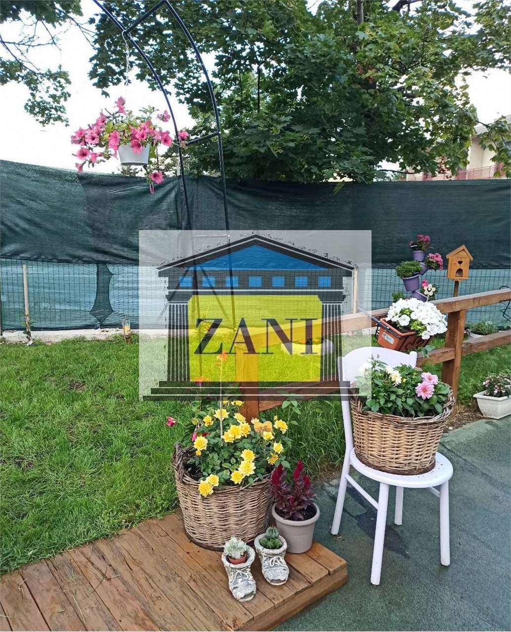 immagine annuncio 4 di 15