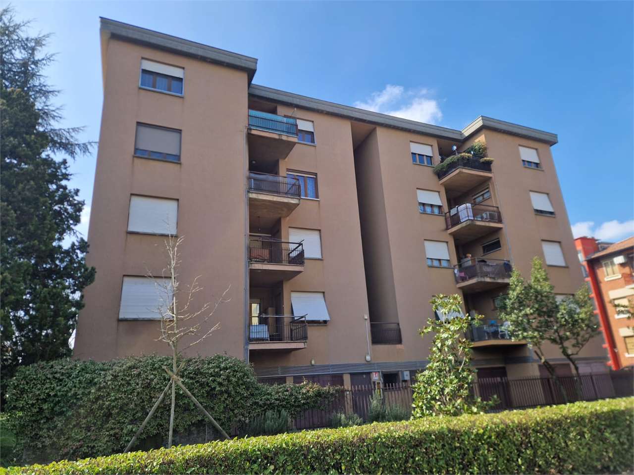 immagine annuncio 3 di 15