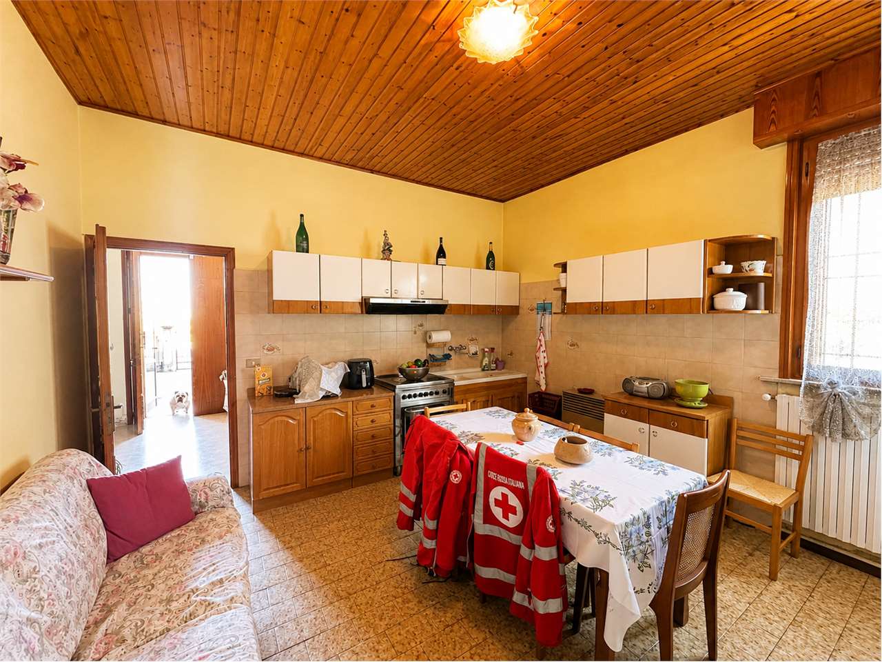 immagine annuncio 11 di 15