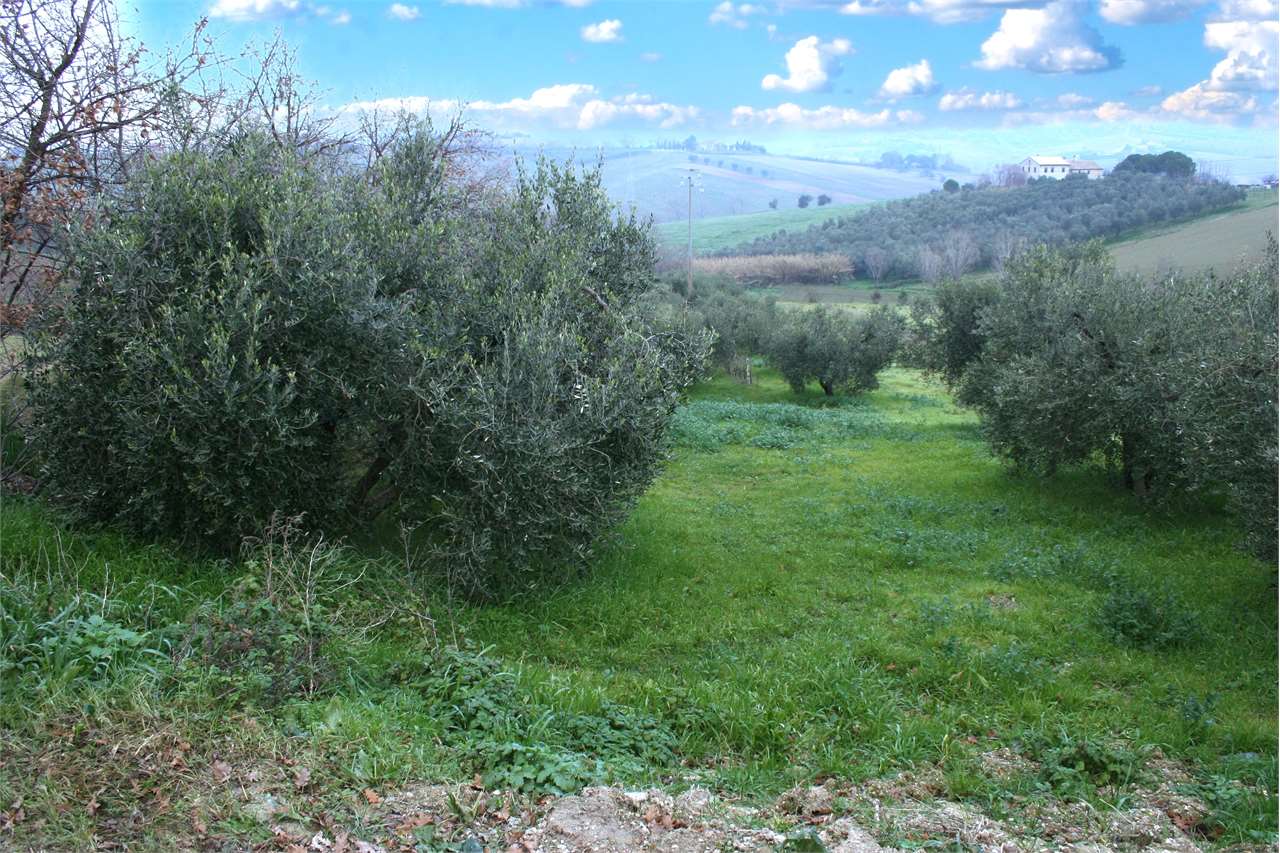 immagine annuncio 2 di 6