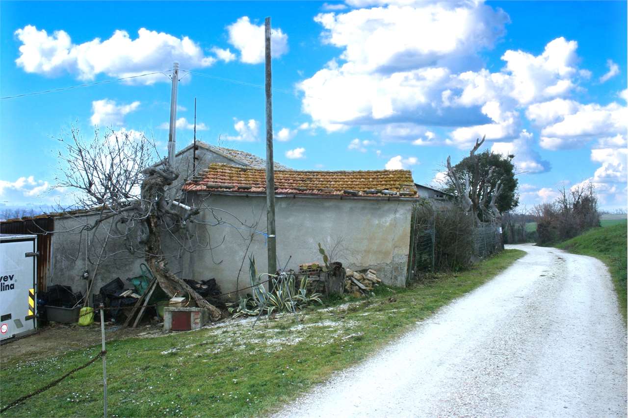 immagine annuncio 3 di 6