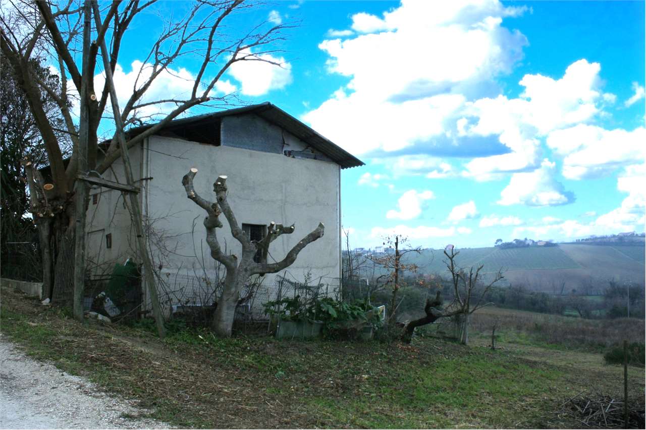 immagine annuncio 4 di 6