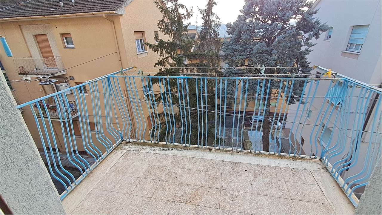 immagine annuncio 12 di 13