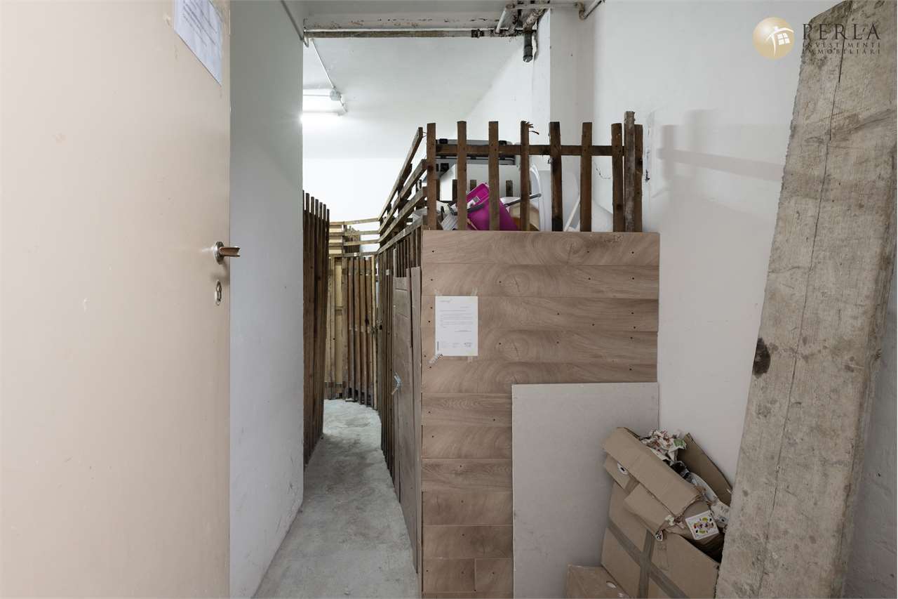 immagine annuncio 11 di 14