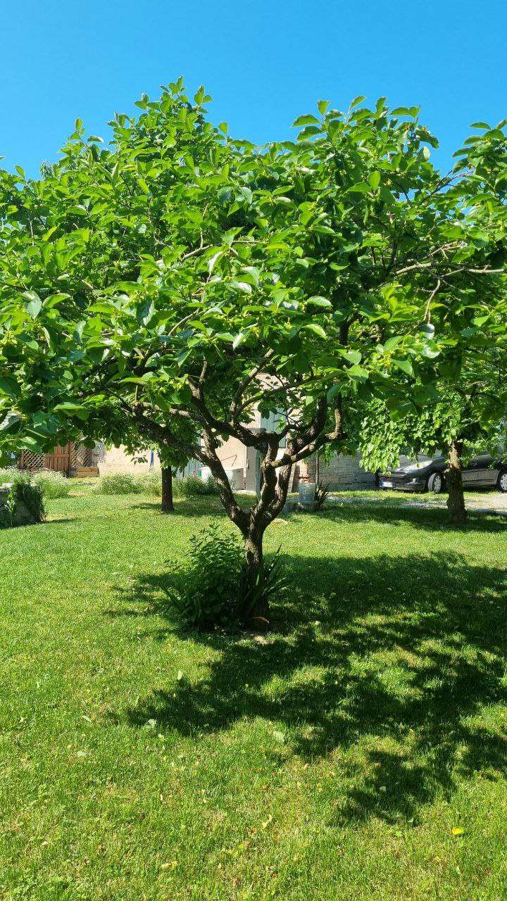 Porzione di casa in vendita a Budrione, Carpi (MO)
