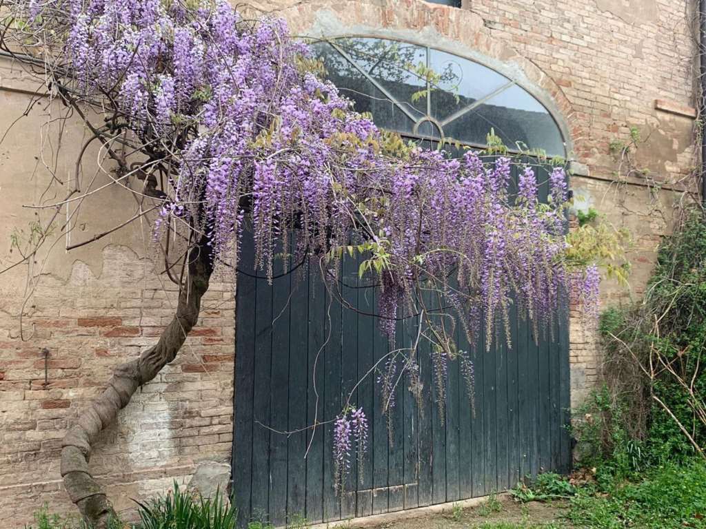 Porzione di casa in vendita a Budrione, Carpi (MO)
