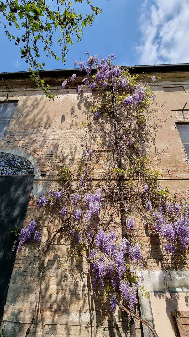 Porzione di casa in vendita a Budrione, Carpi (MO)