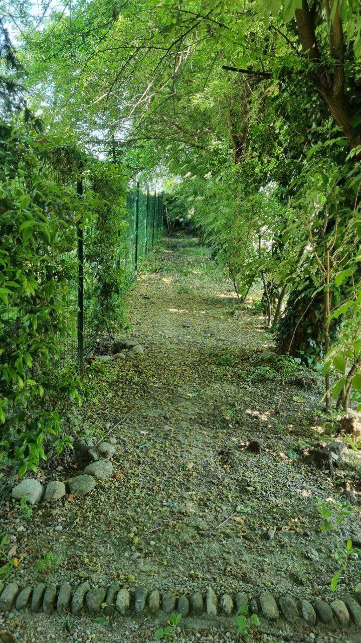 Porzione di casa in vendita a Budrione, Carpi (MO)
