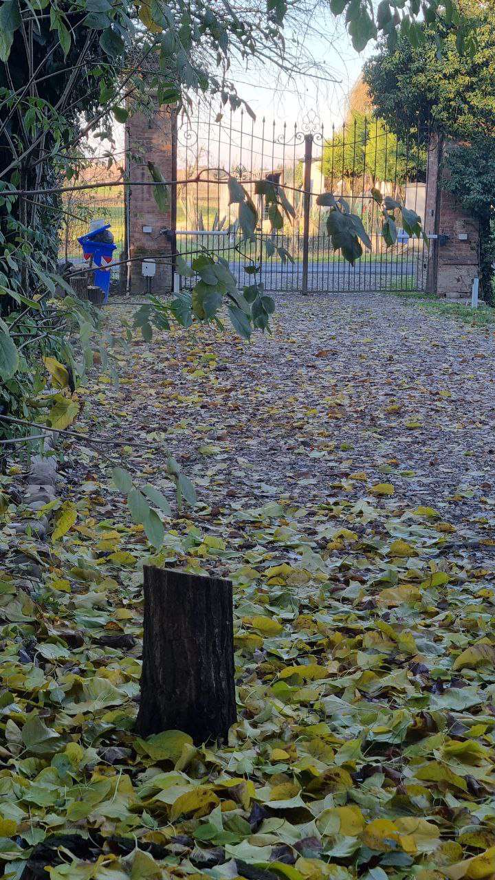 Porzione di casa in vendita a Budrione, Carpi (MO)