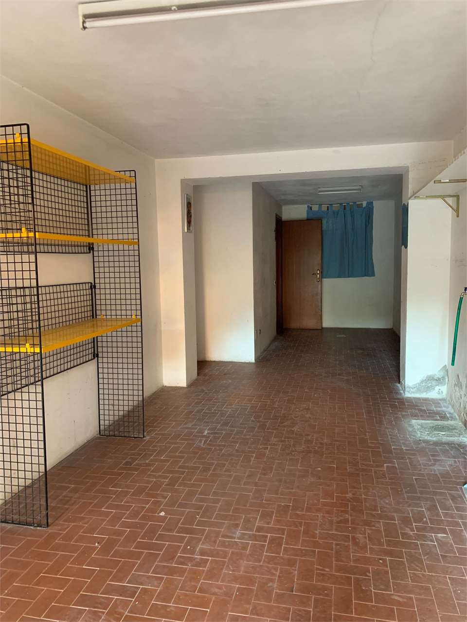 immagine annuncio 10 di 12