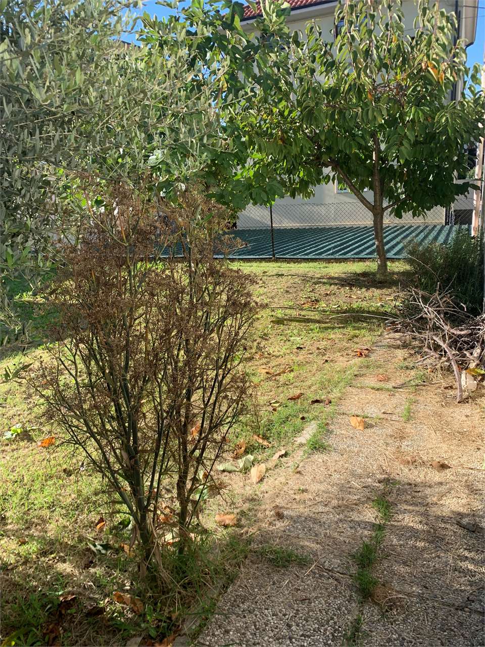 immagine annuncio 10 di 14