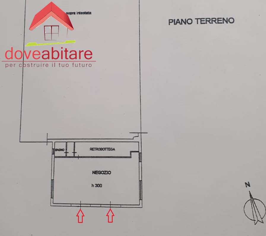 immagine annuncio 1 di 6