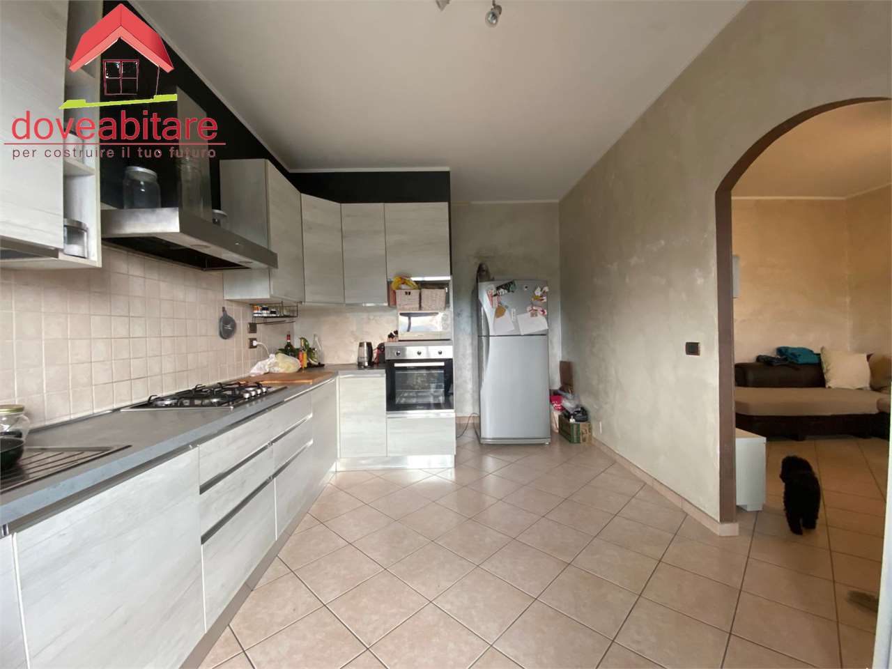 immagine annuncio 3 di 11