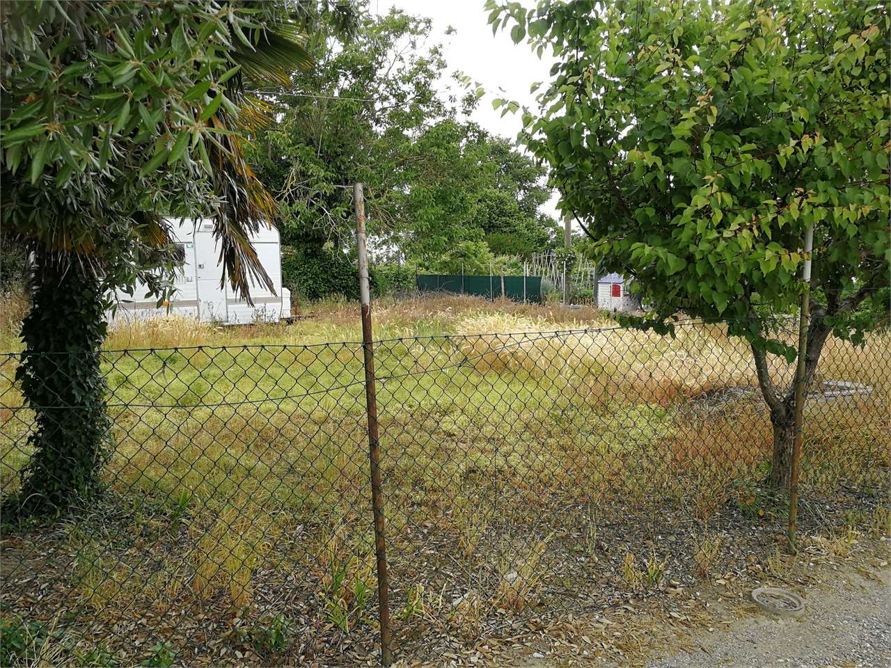 immagine annuncio 4 di 7