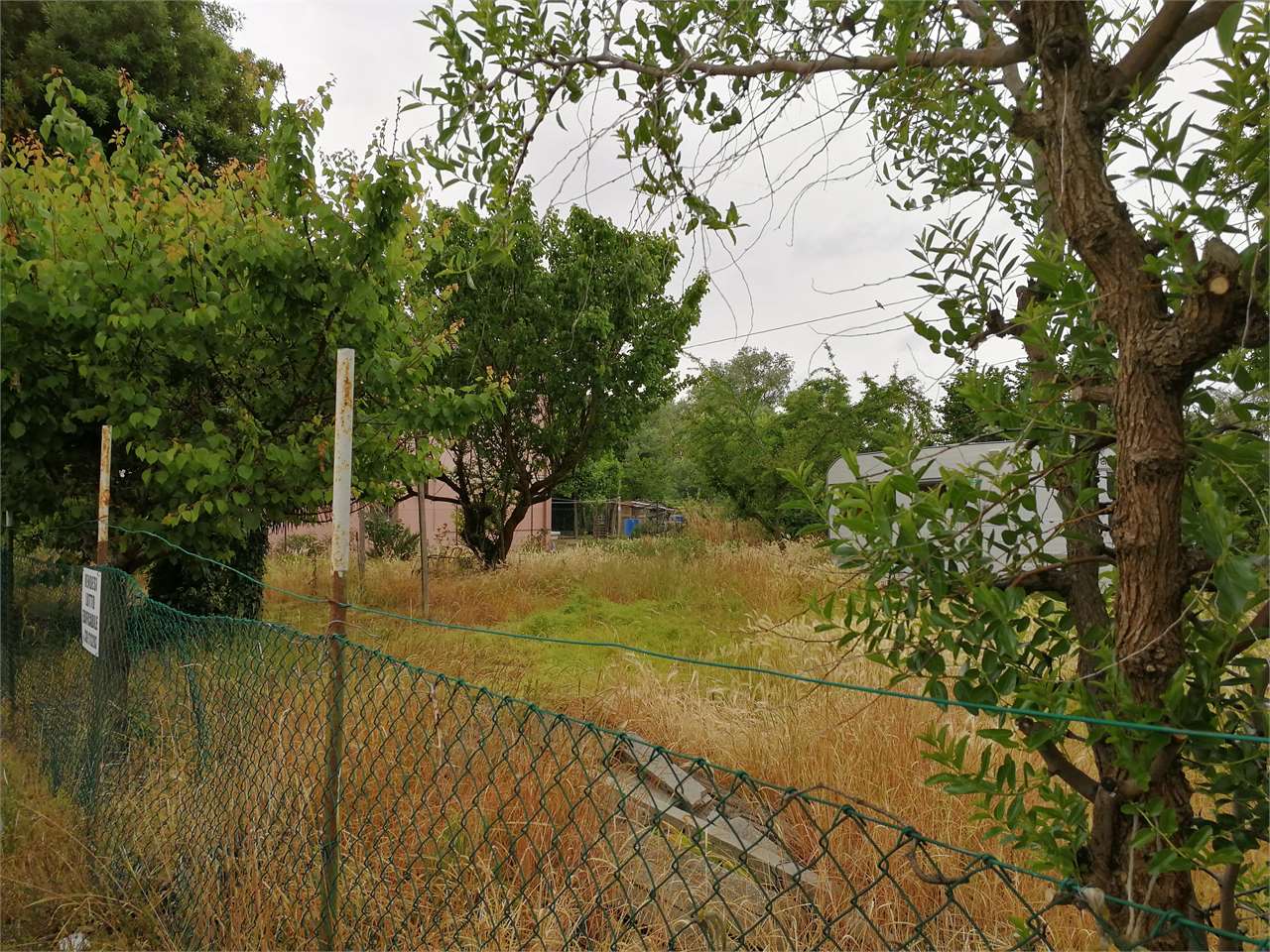 immagine annuncio 5 di 7