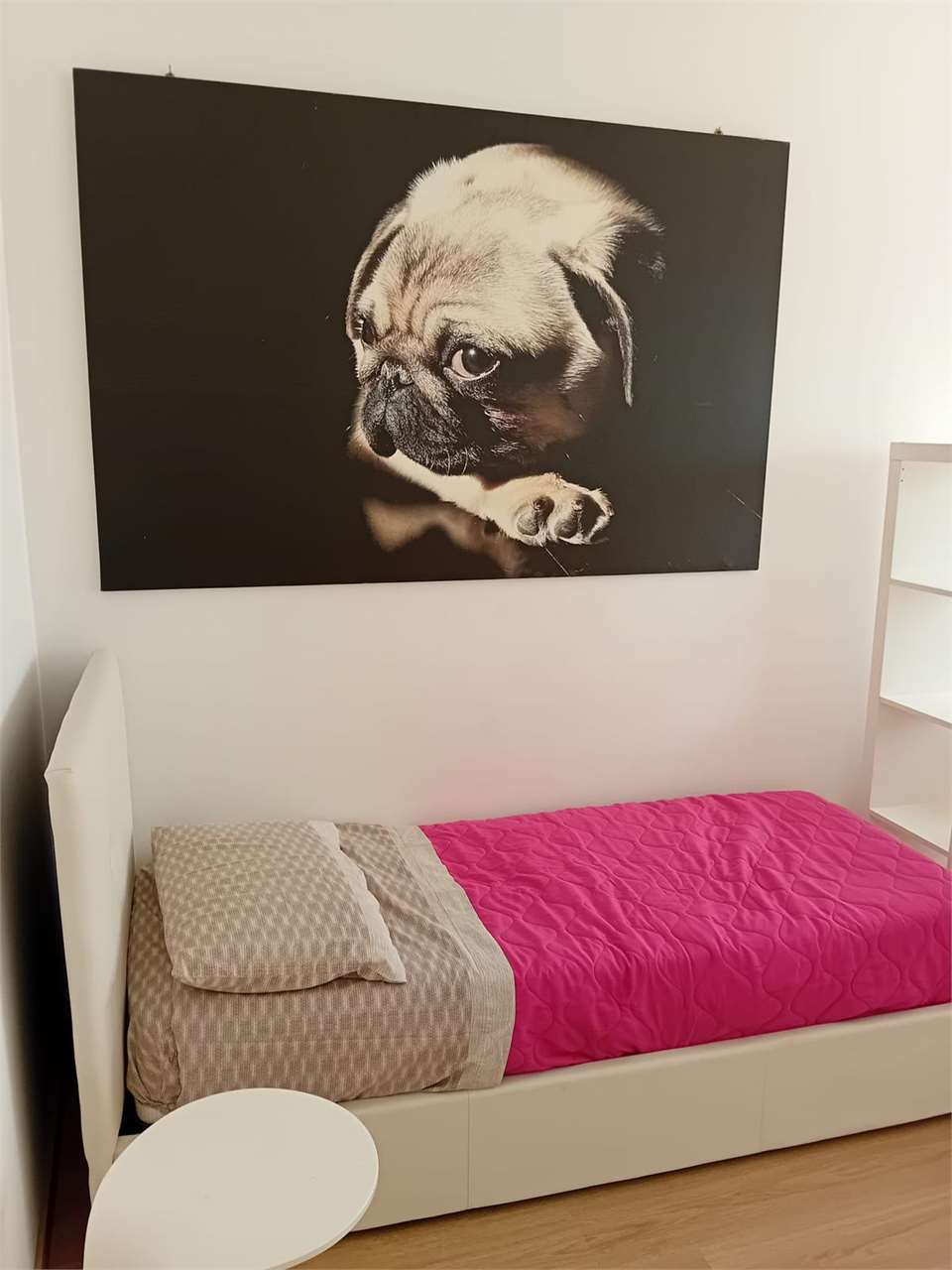 immagine annuncio 6 di 14