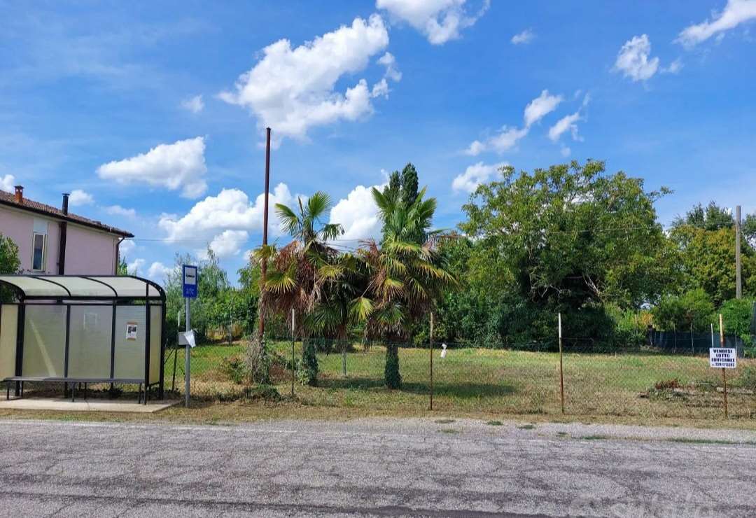 immagine annuncio 2 di 7