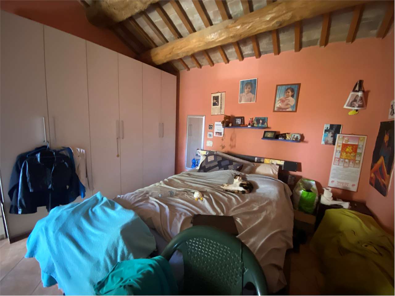 immagine annuncio 6 di 12