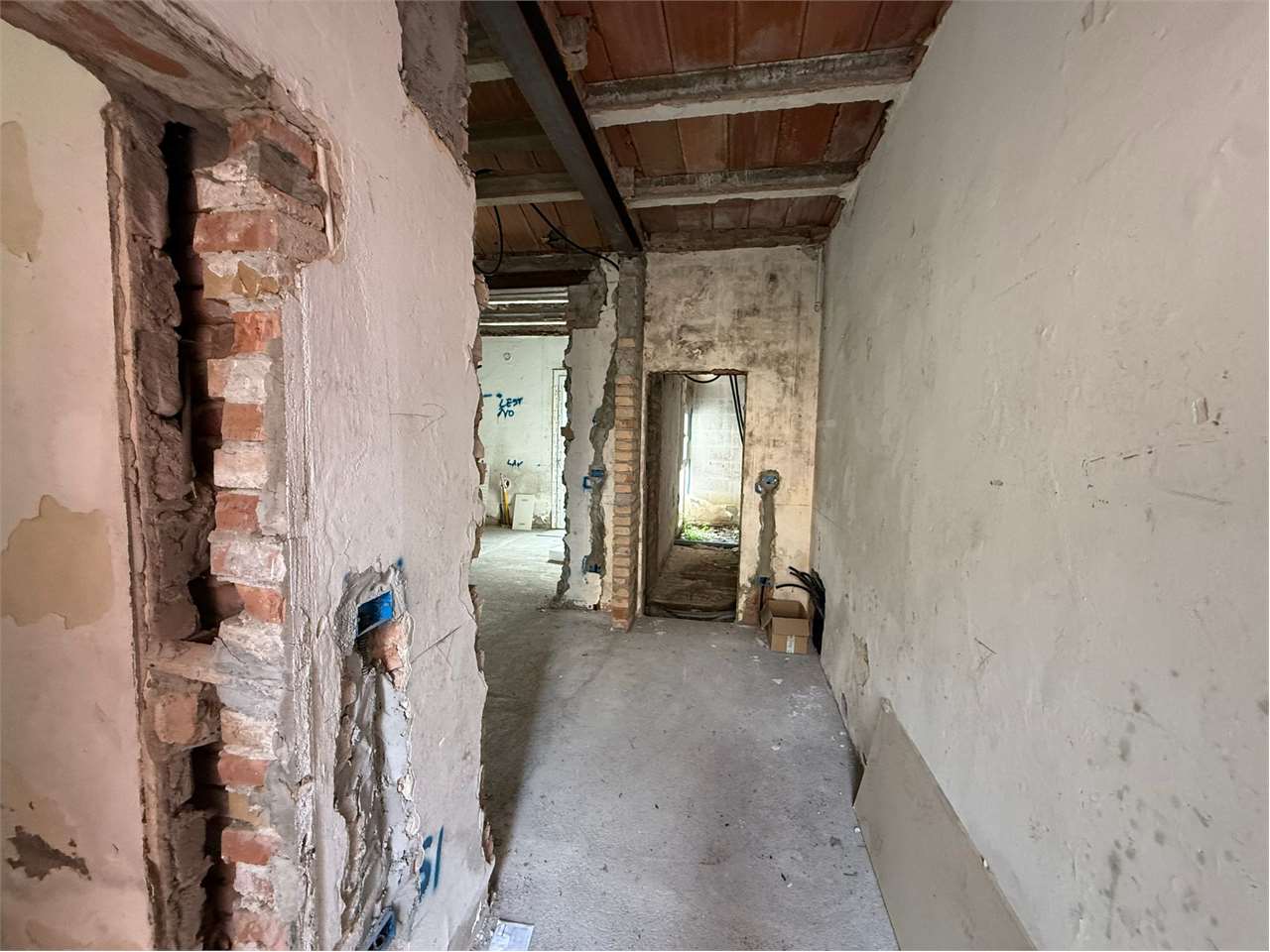 immagine annuncio 5 di 7