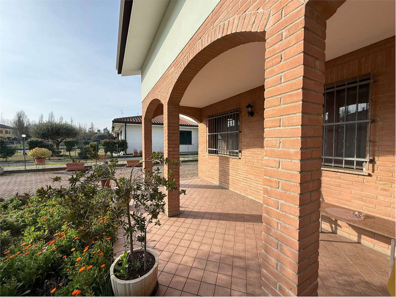 immagine annuncio 2 di 12