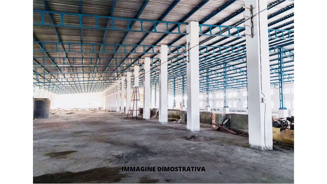 immagine annuncio 4 di 11