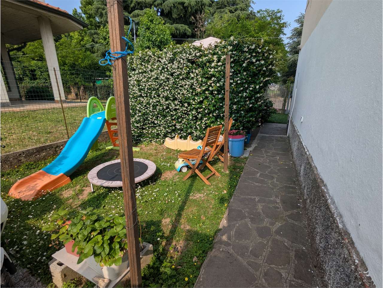 immagine annuncio 11 di 15