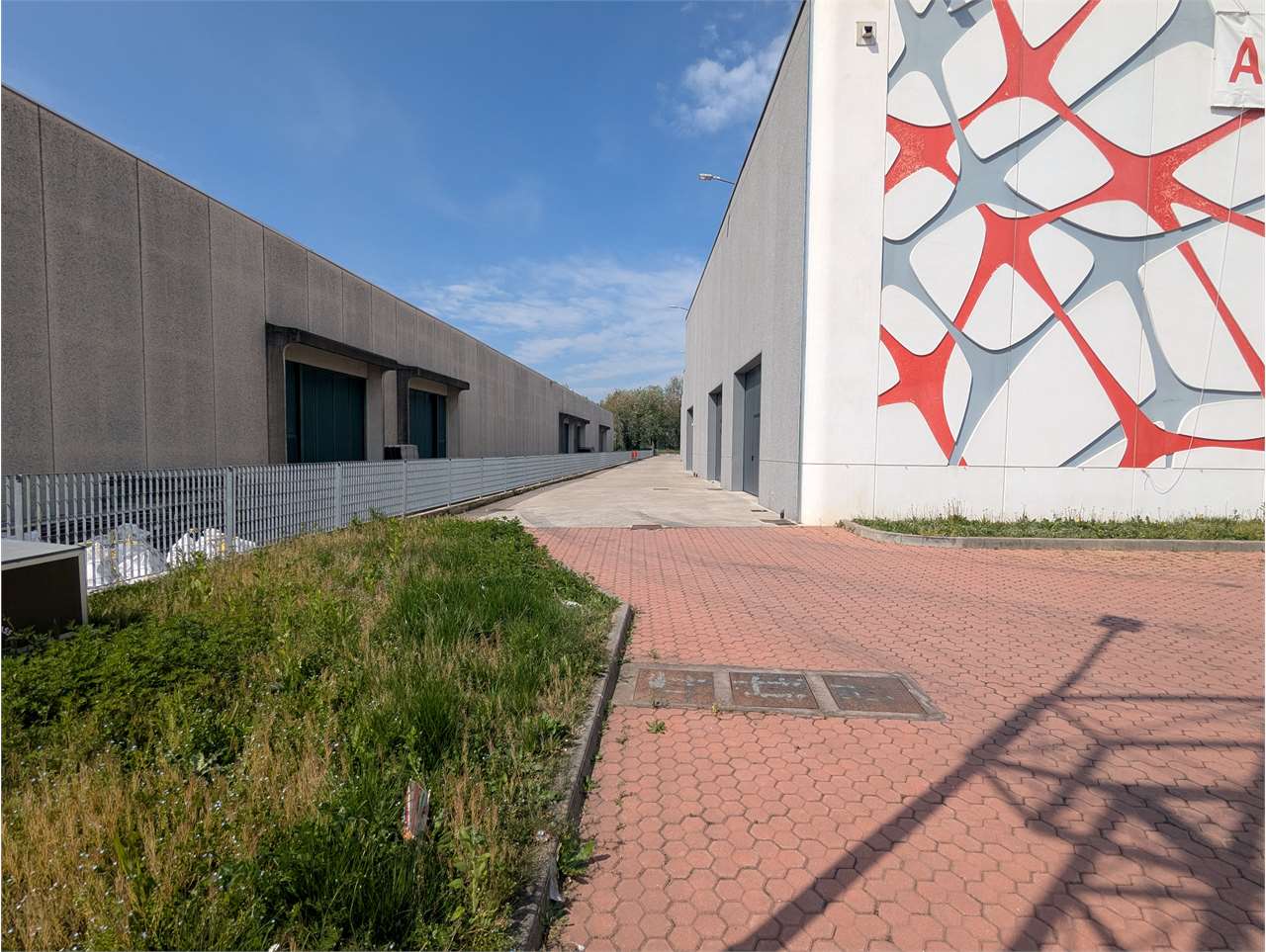 immagine annuncio 12 di 15