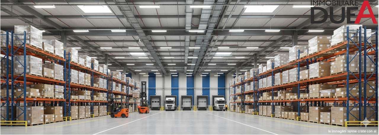 immagine annuncio 6 di 8