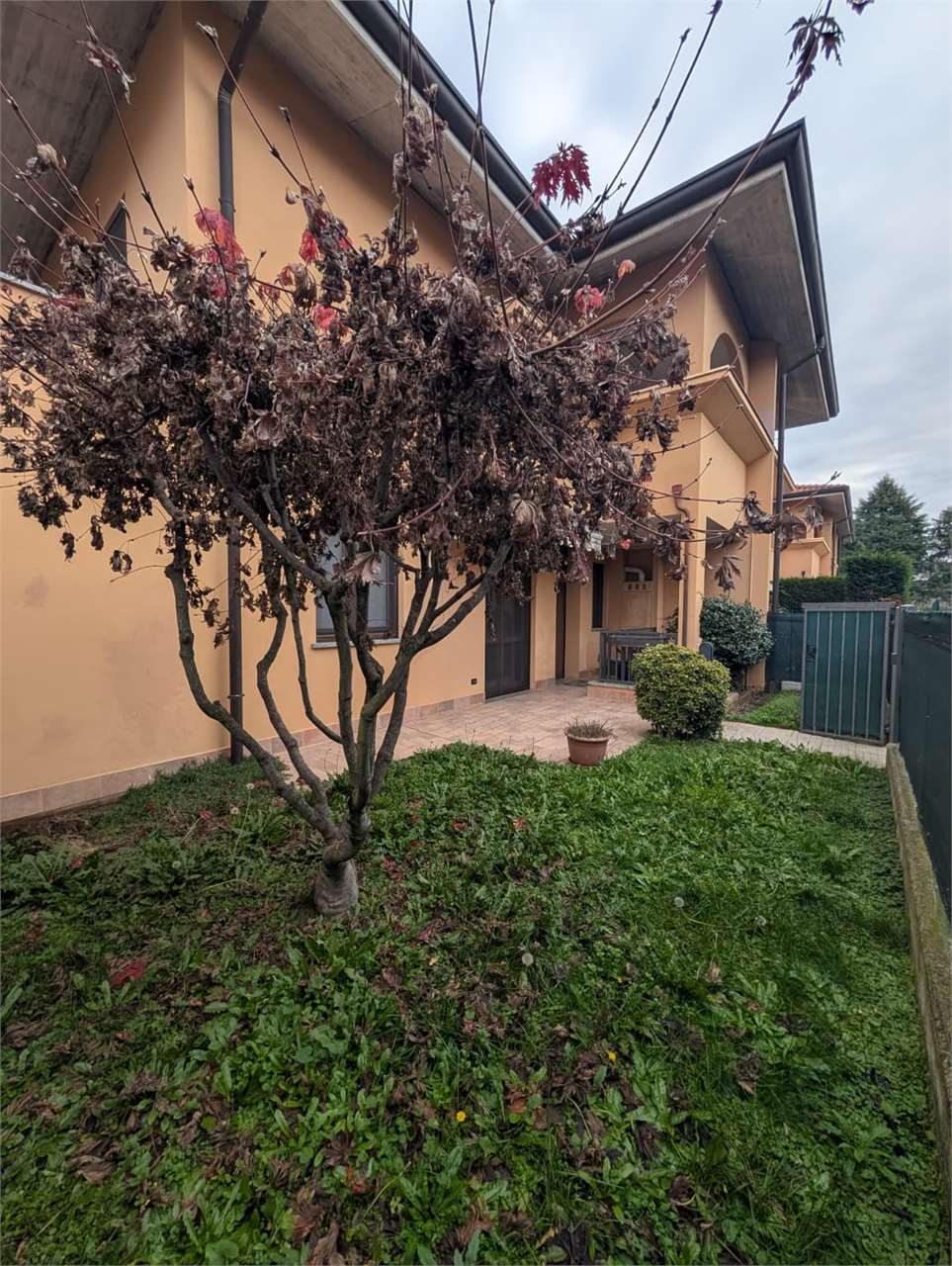 immagine annuncio 13 di 15