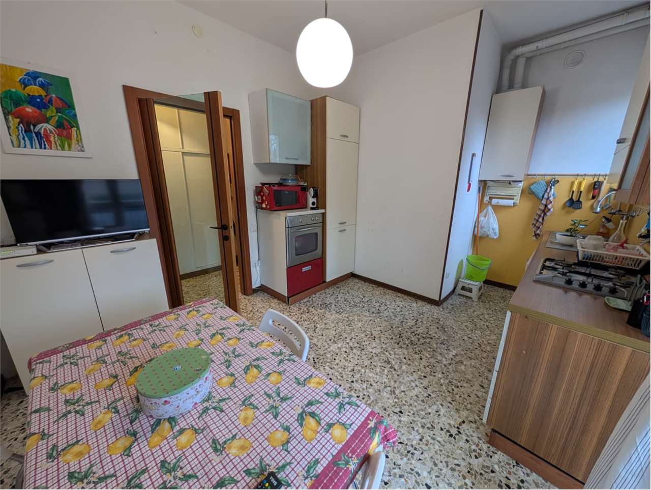 immagine annuncio 14 di 15