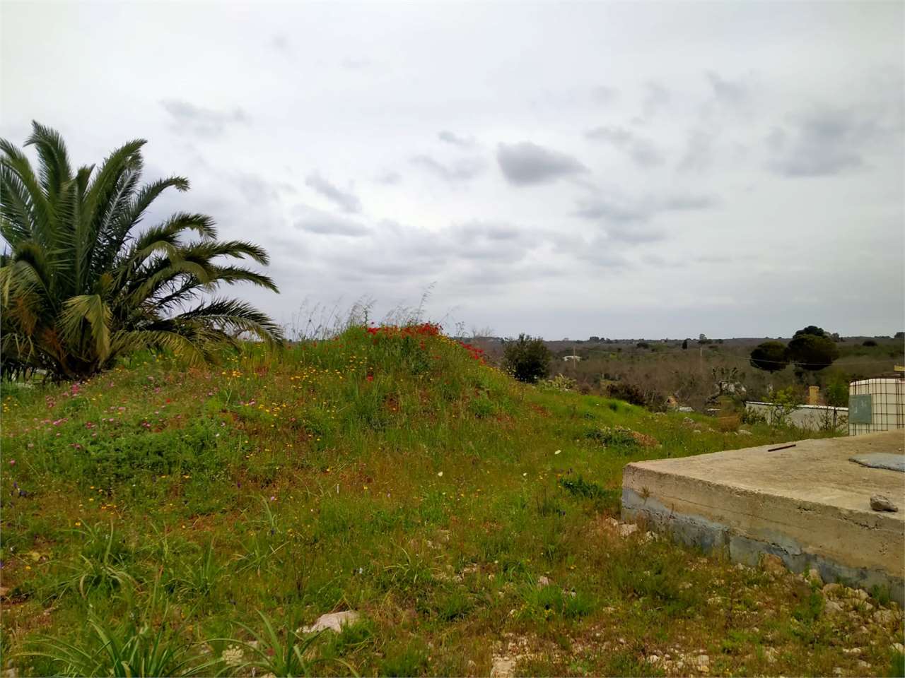 Rustico in vendita a Casarano (LE)