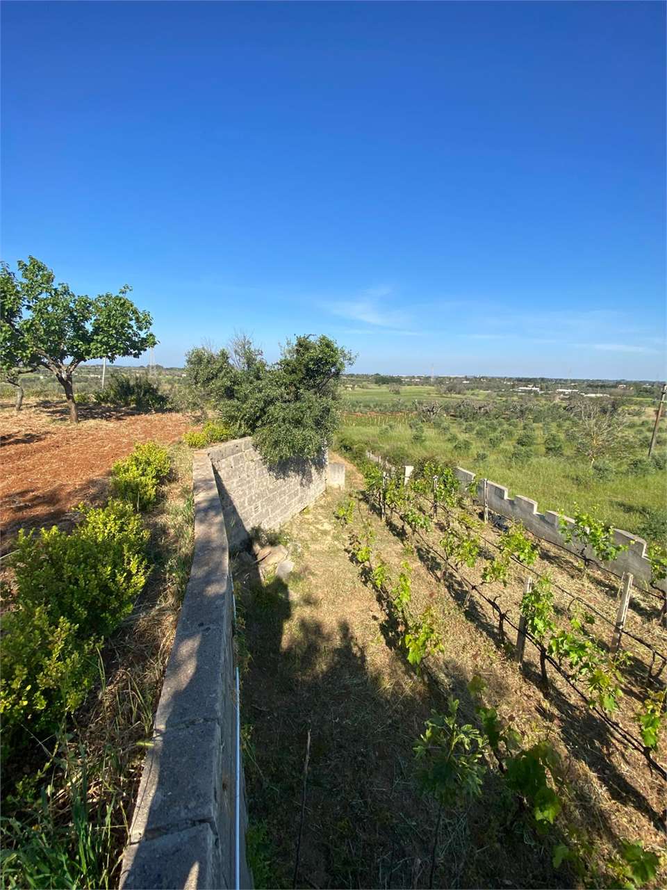 Villa in vendita a Matino (LE)