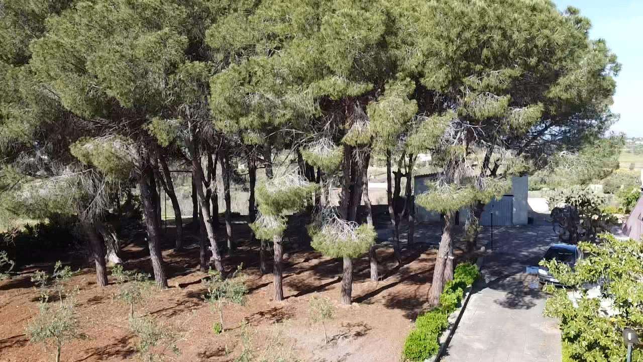 Villa in vendita a Matino (LE)