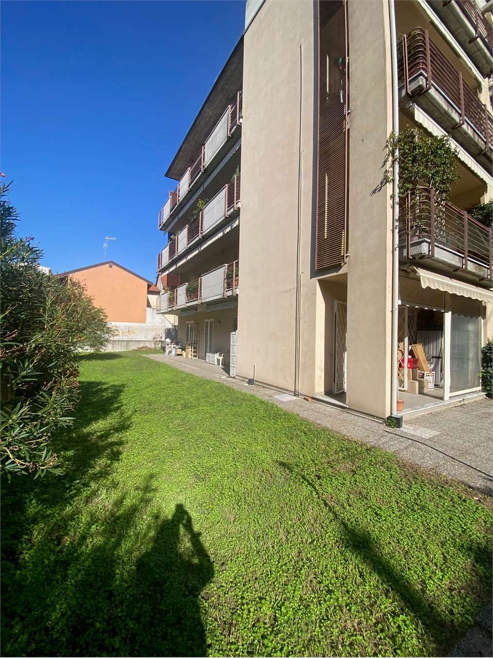 immagine annuncio 1 di 15