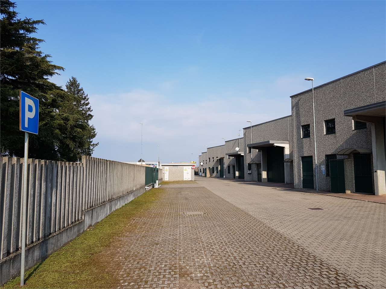 immagine annuncio 9 di 15