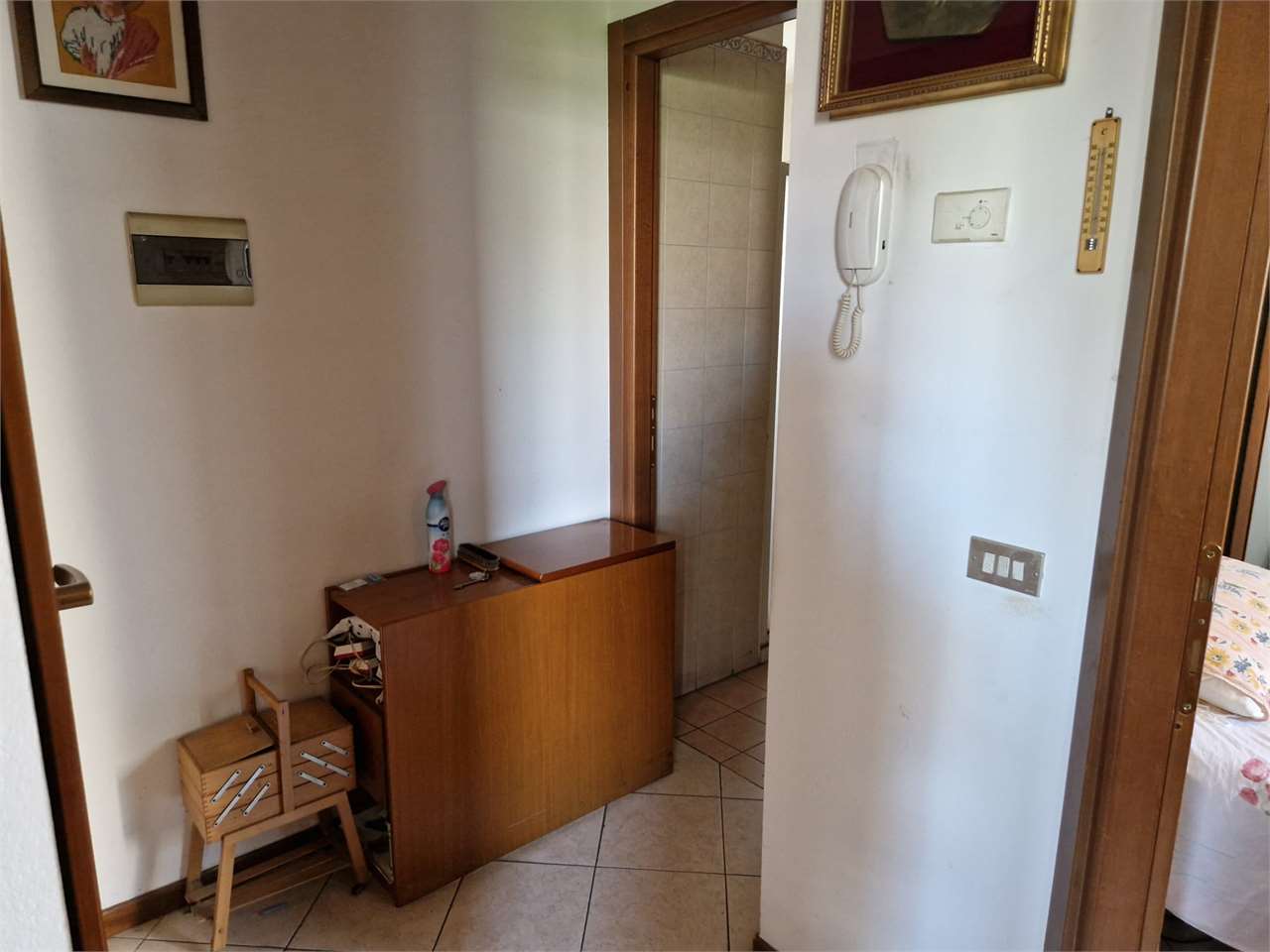 immagine annuncio 6 di 14